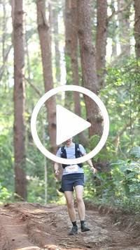 BIB:  <button type="button" onclick="openModal(26569742)" class="btn btn-primary btn-sm float-right" data-toggle="modal" data-target=".modal-high-quality">
                <i class="fa fa-download"></i> Download
                </button>